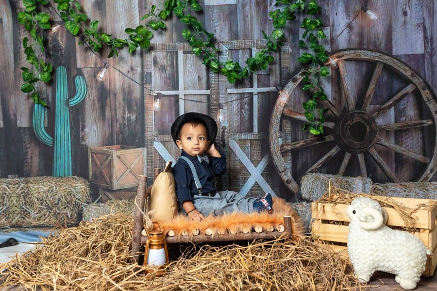 Farmhouse theme for baby boy